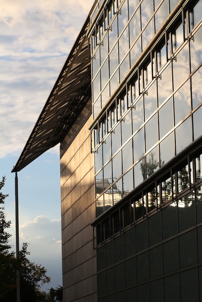 The Faculty of Law